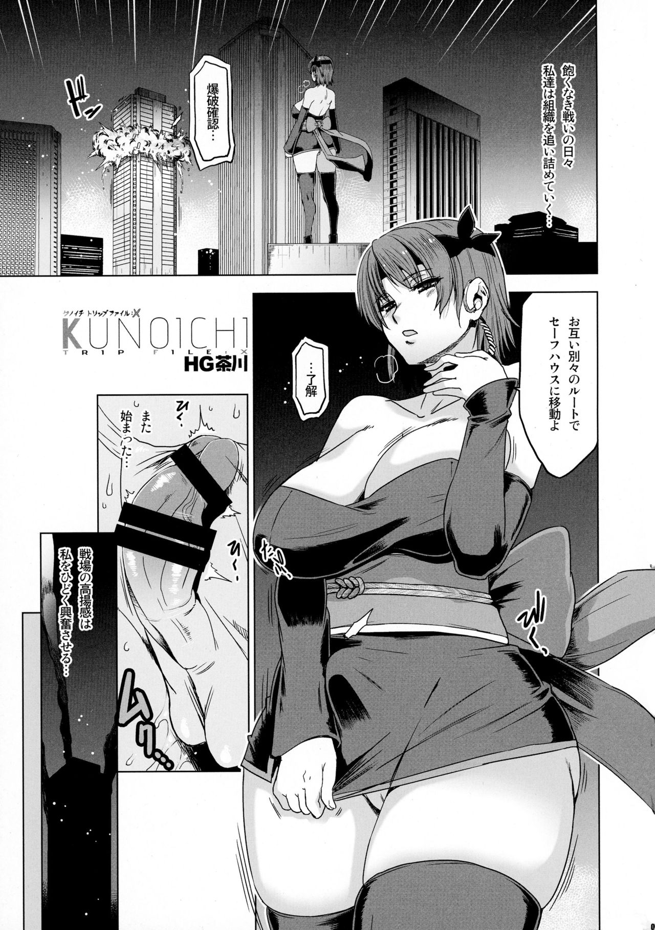 (Futaket 12) [HGH (HG Chagawa)] HGUC#06 -KUNOICHI TRIP FILE-(Kari) (Dead or Alive) page 5 full