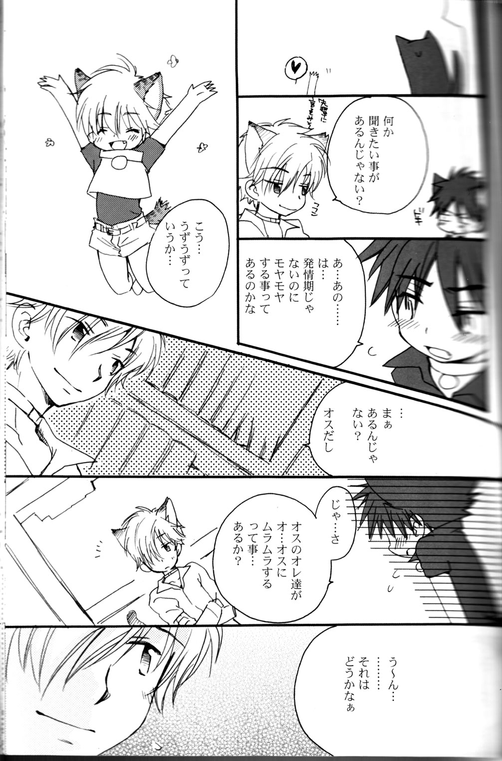 Peach Drop- Arco Iris page 15 full