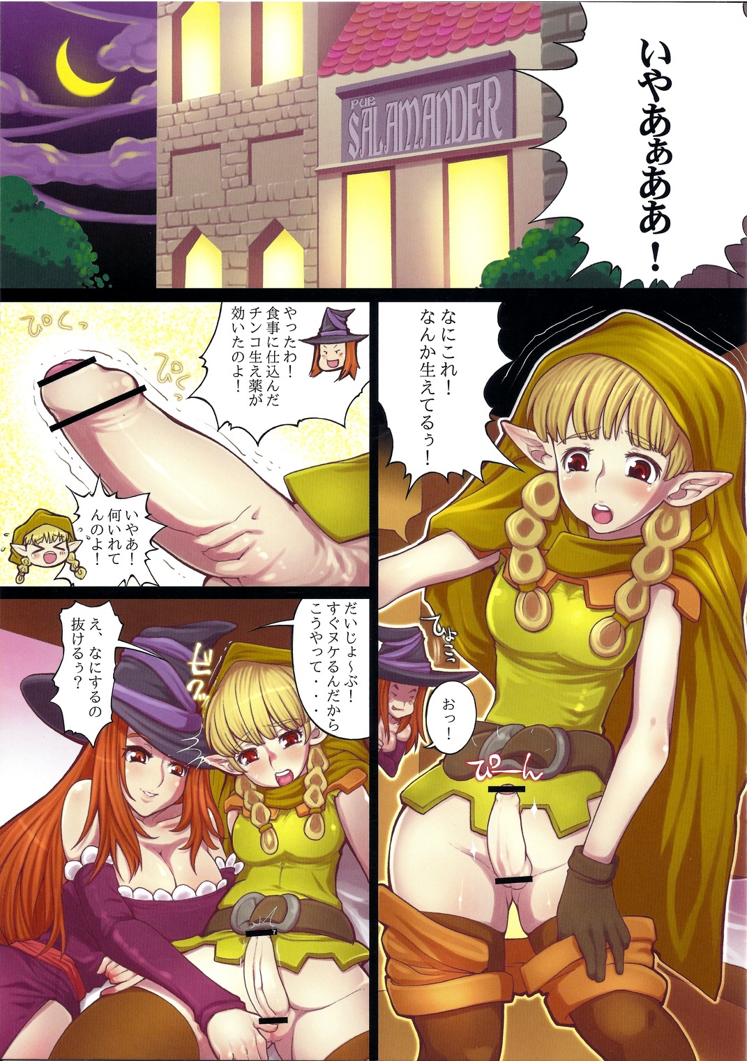 (C81) [Tsujimo ga Machi ni Yattekita!!! (Tsujizen)] Erotica Crown - Bitch na Majo (Dragon's Crown) page 3 full