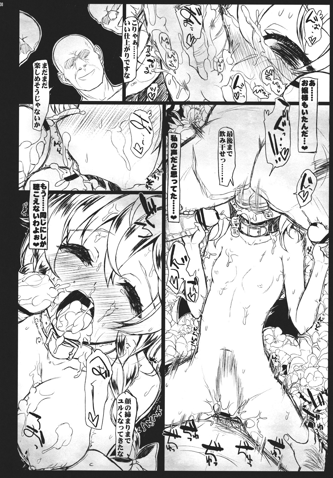 (C81) [Inst] SHADOWS IN BLOOM (Touhou Project) page 30 full