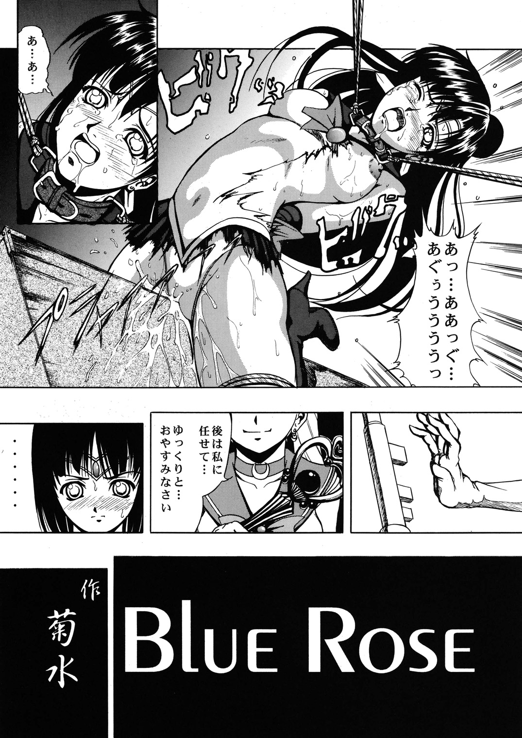 (C61) [Kikka-Shurou (Kikusui)] Blue Rose (Bishoujo Senshi Sailor Moon) page 7 full