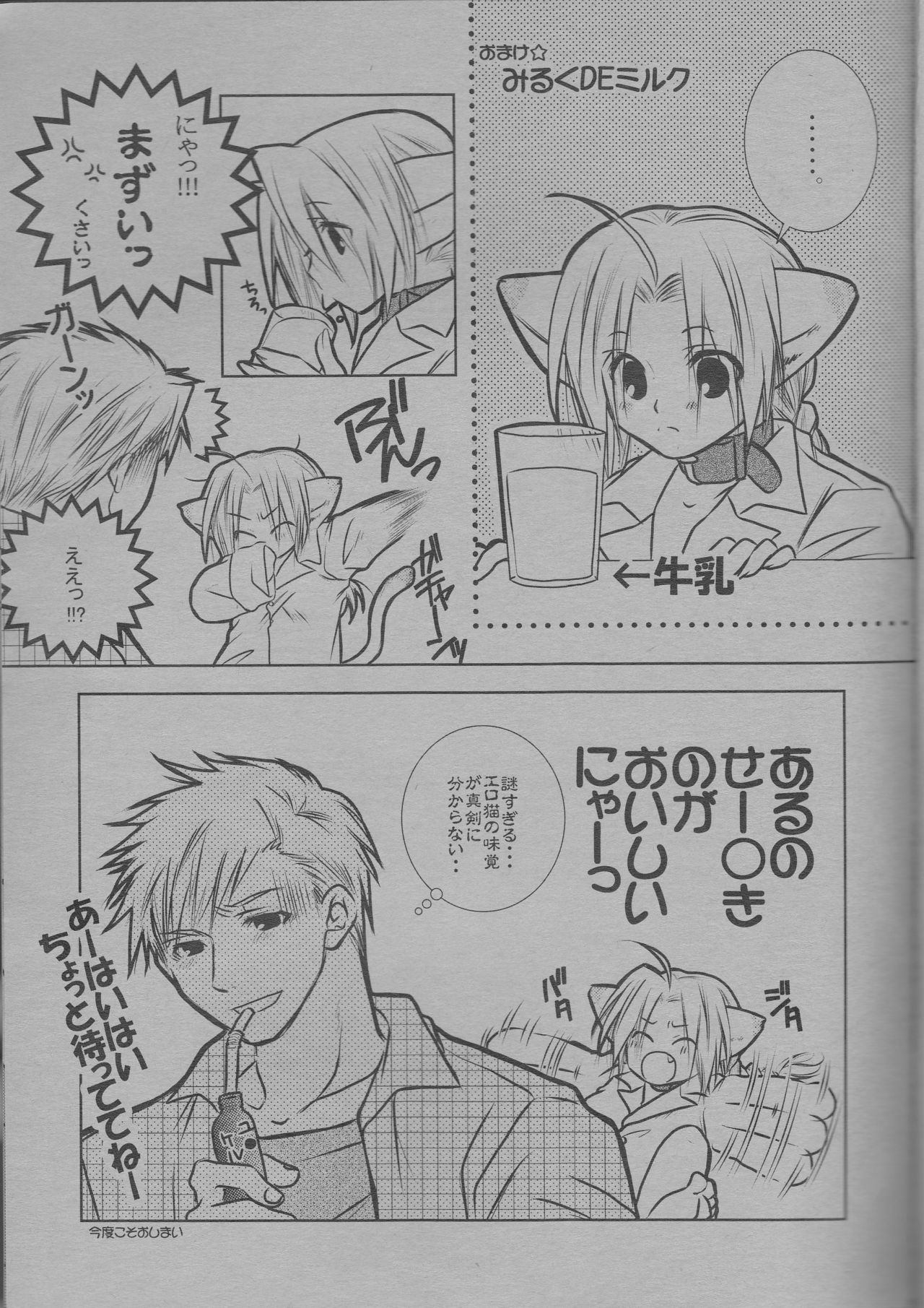 (C68) [HEAVENS (Tsukikage Manmaru)] Nyan Nyan (Fullmetal Alchemist) page 17 full