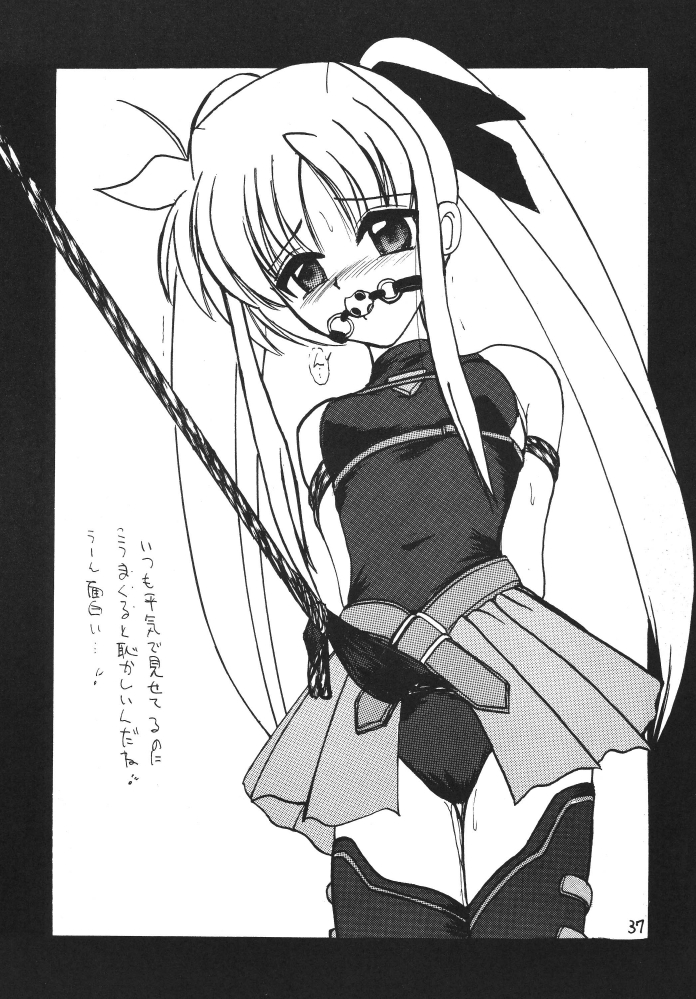 [Thirty Saver Street 2D Shooting] Storage Ignition 3 (Mahou Shoujo Lyrical Nanoha / Magical Girl Lyrical Nanoha) page 37 full
