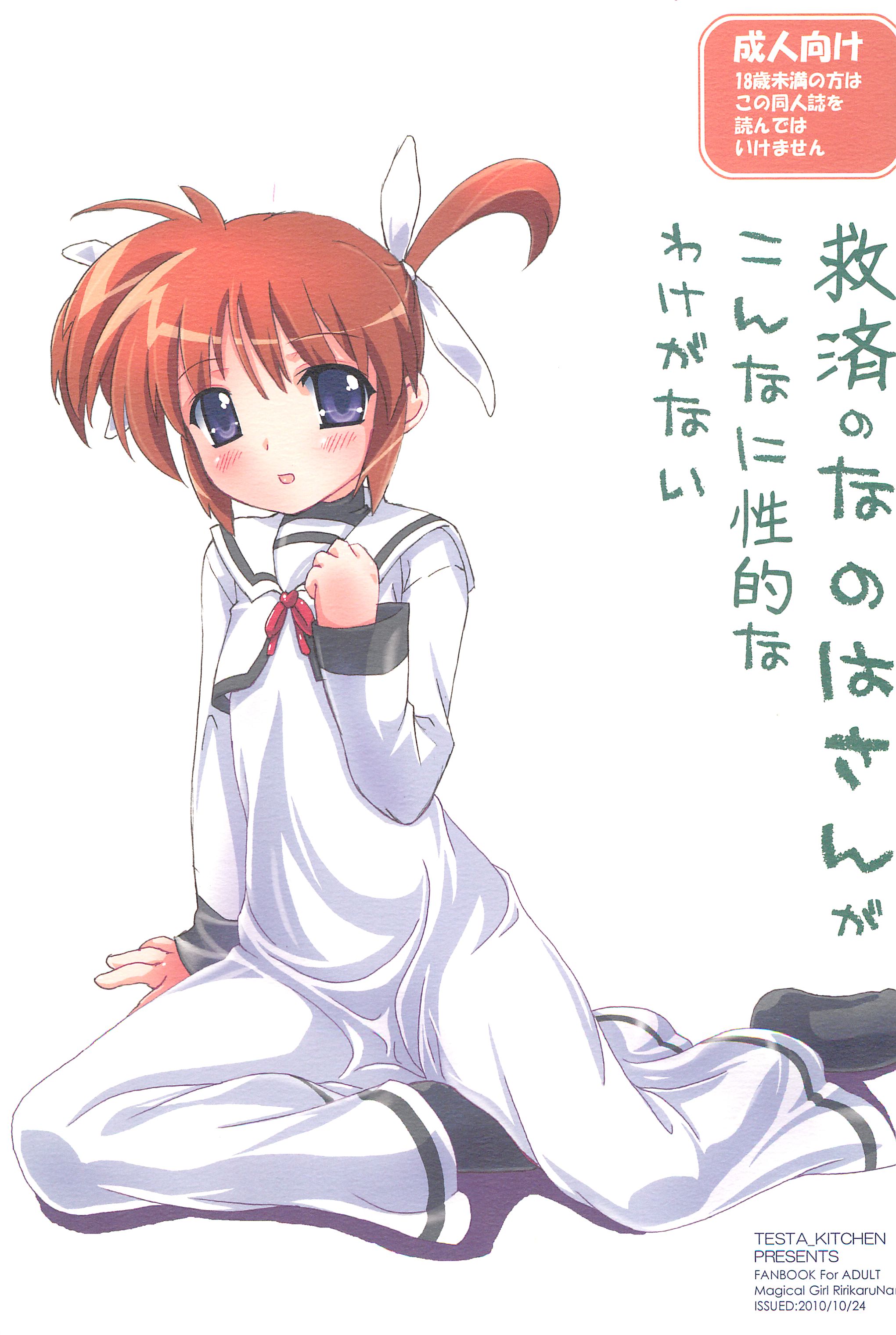 (Mimiket 23) [Testa Kitchen (Testa)] Kyuusai no Nanoha-san ga konnani Seiteki wake ga nai (Mahou Shoujo Lyrical Nanoha) page 1 full