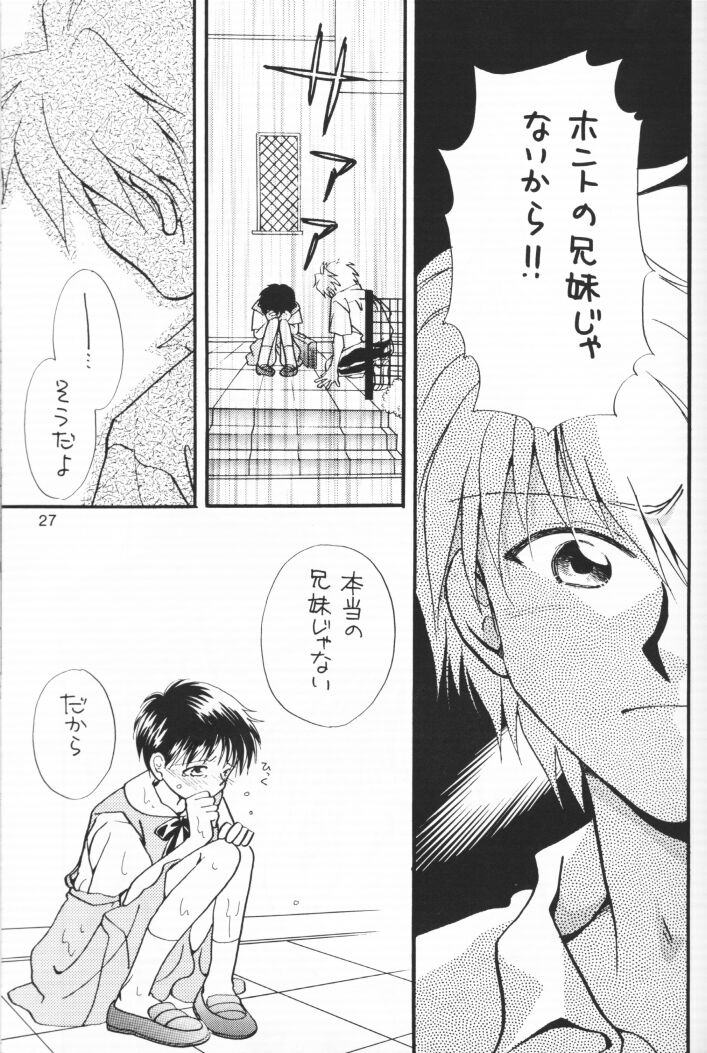 (C54) [Nikkou Kikaku (Gotou Noriko)] Chiisana Koi no Melody (Neon Genesis Evangelion) page 26 full