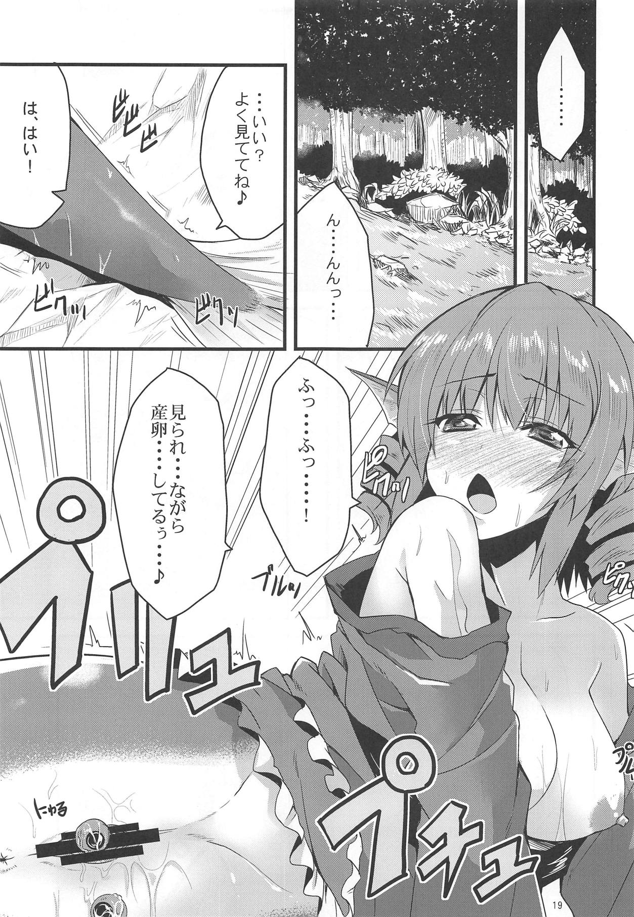 (C95) [SeaFox (Kirisaki Byakko)] Jingai Ero β (Various) page 18 full