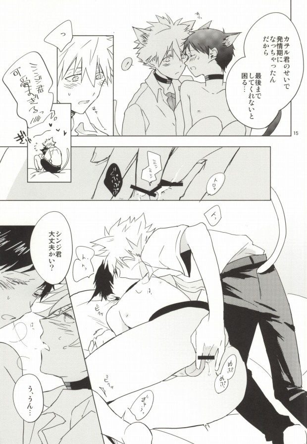 (HaruCC18) [Mm. (Moto)] Shin-chan ga Hatsujouki ni Narimashita. (Neon Genesis Evangelion) page 14 full