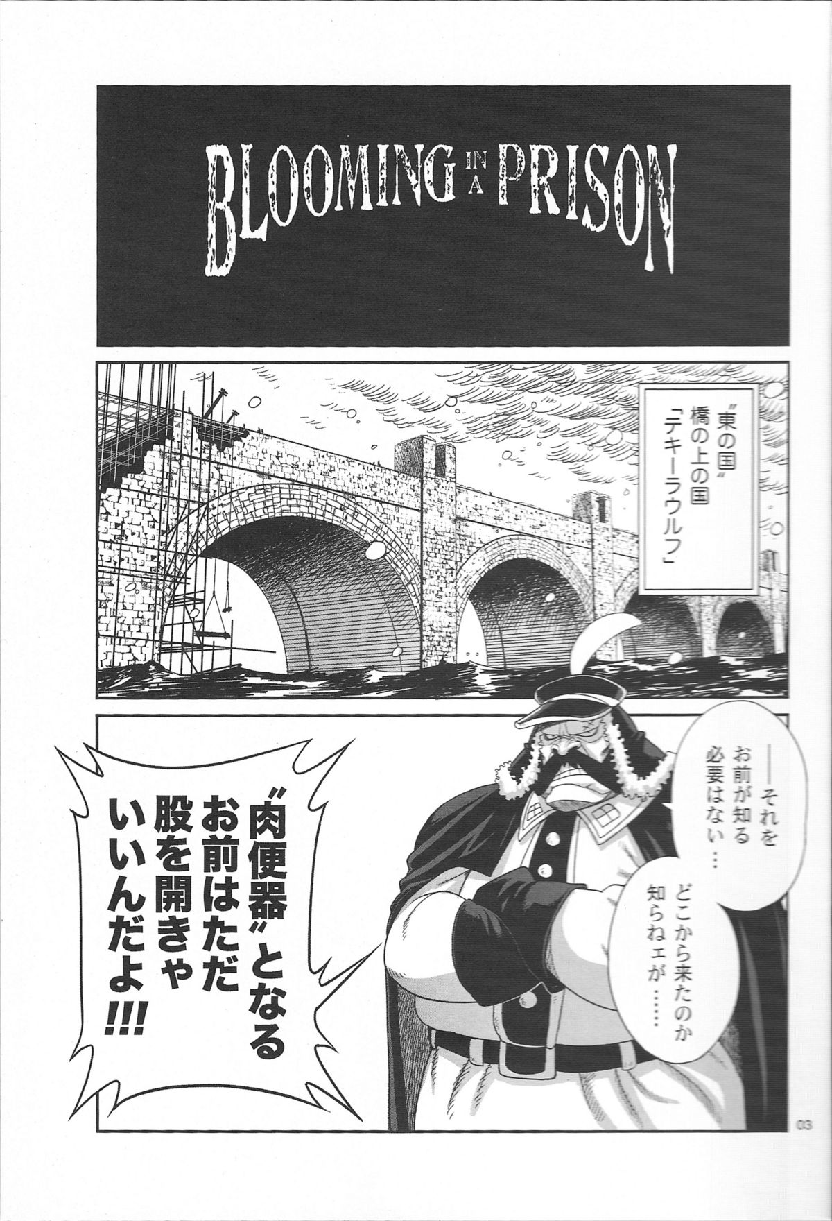 (ComiComi13) [Rojiura Jack (Jun)] Blooming In A Prison (One Piece) page 3 full