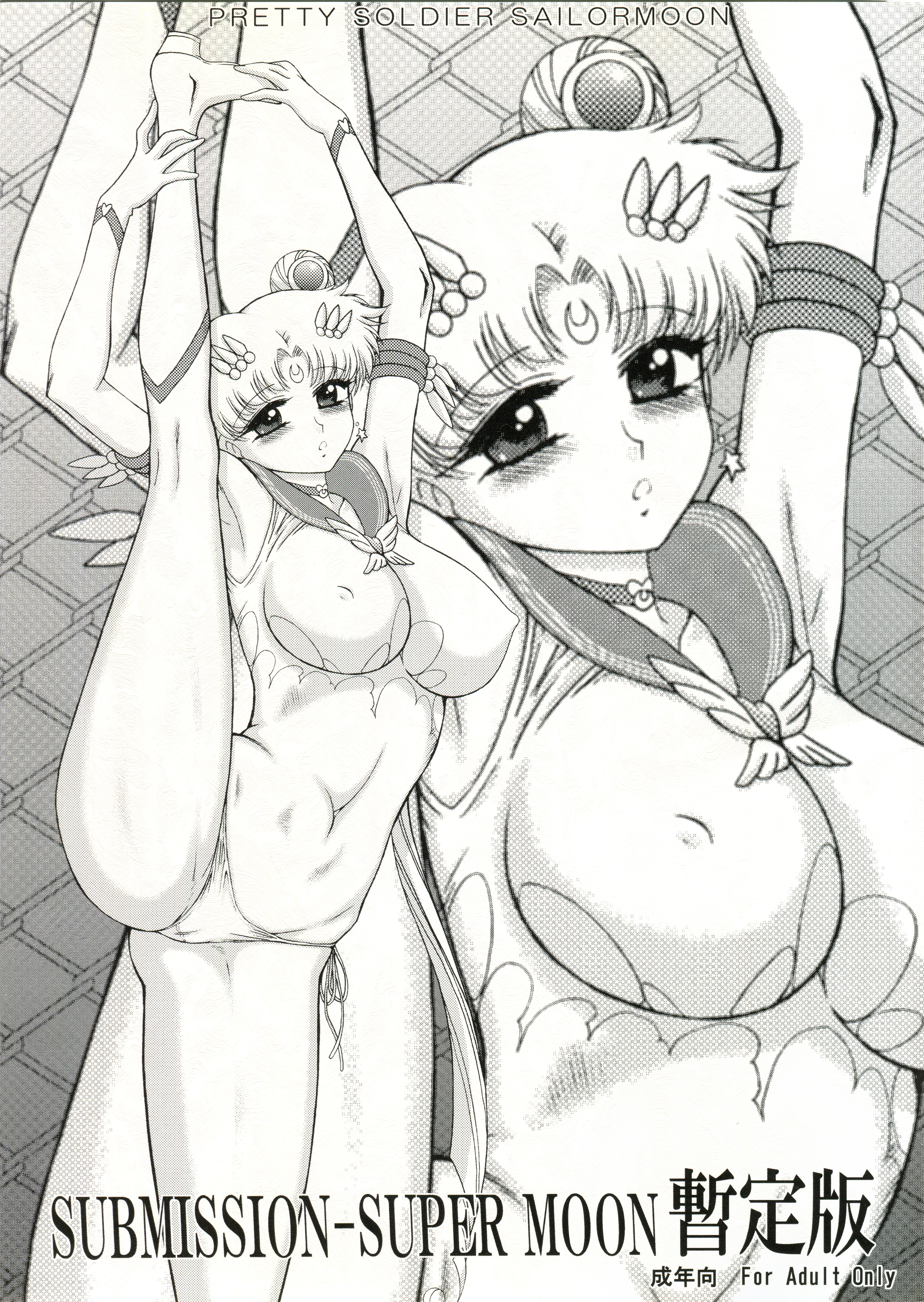 (C82) [BLACK DOG (Kuroinu Juu)] SUBMISSION-SUPER MOON Zanteiban (Bishoujo Senshi Sailor Moon) page 1 full