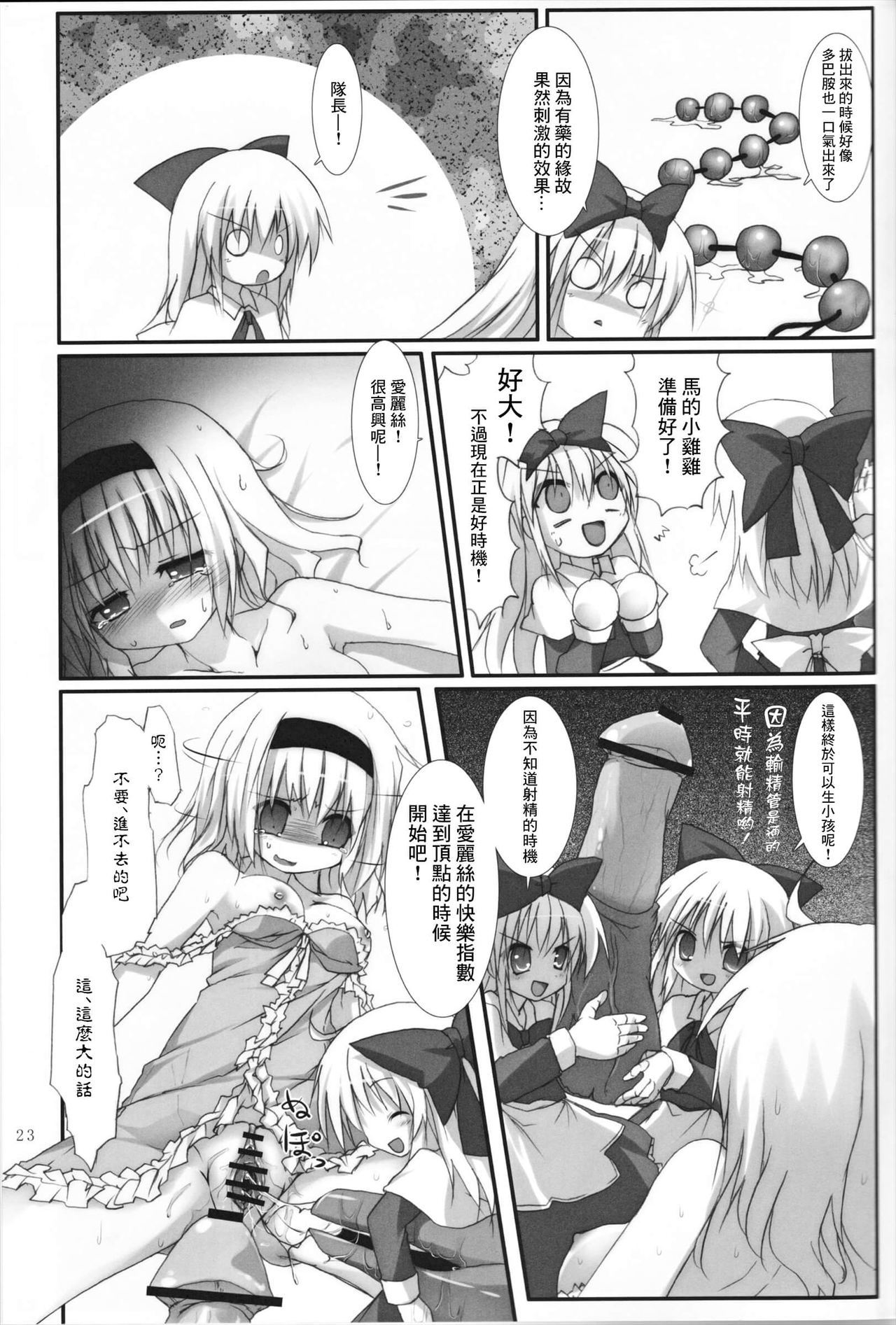 (C83) [Suzunaridou (Izumi Yukiru)] Alice in Nightmare (Touhou Project) [Chinese] [靴下汉化组] page 24 full