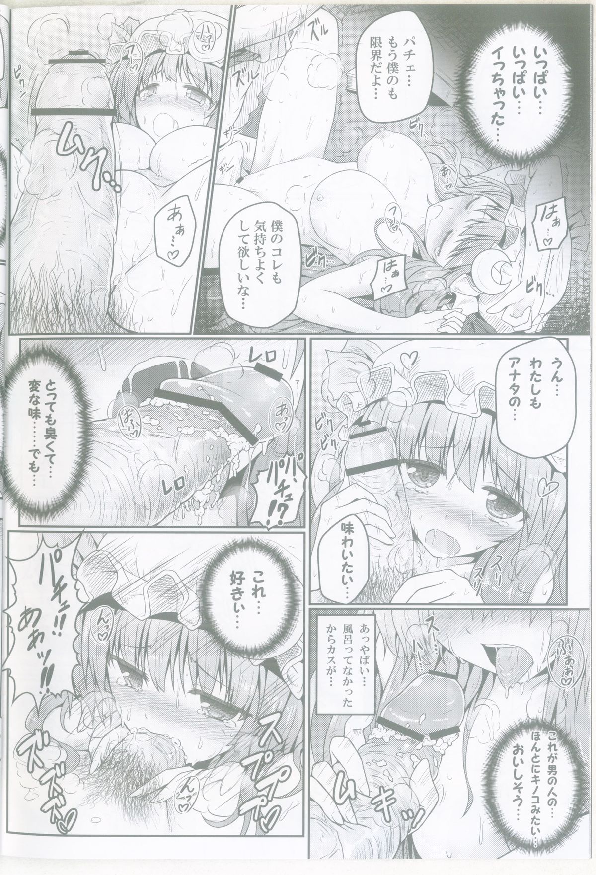 (C83) [e☆ALI-aL! (Ariesu Watanabe)] Mu-chouli~! (Touhou Project) page 13 full
