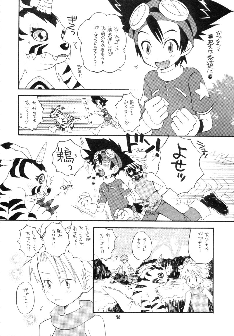 (CCTokyo96) [Haniwa Mania, Kuruguru DNA (Pon Takahanada, Hoshiai Hiro)] Bokura No Jogress World (Digimon Adventure 02) page 26 full