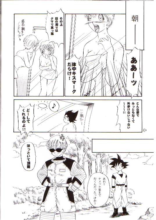 (C66) [Ryuujin-kai (HITO Ribuki)] CHEAP THRILLS (Dragon Ball Z) page 24 full