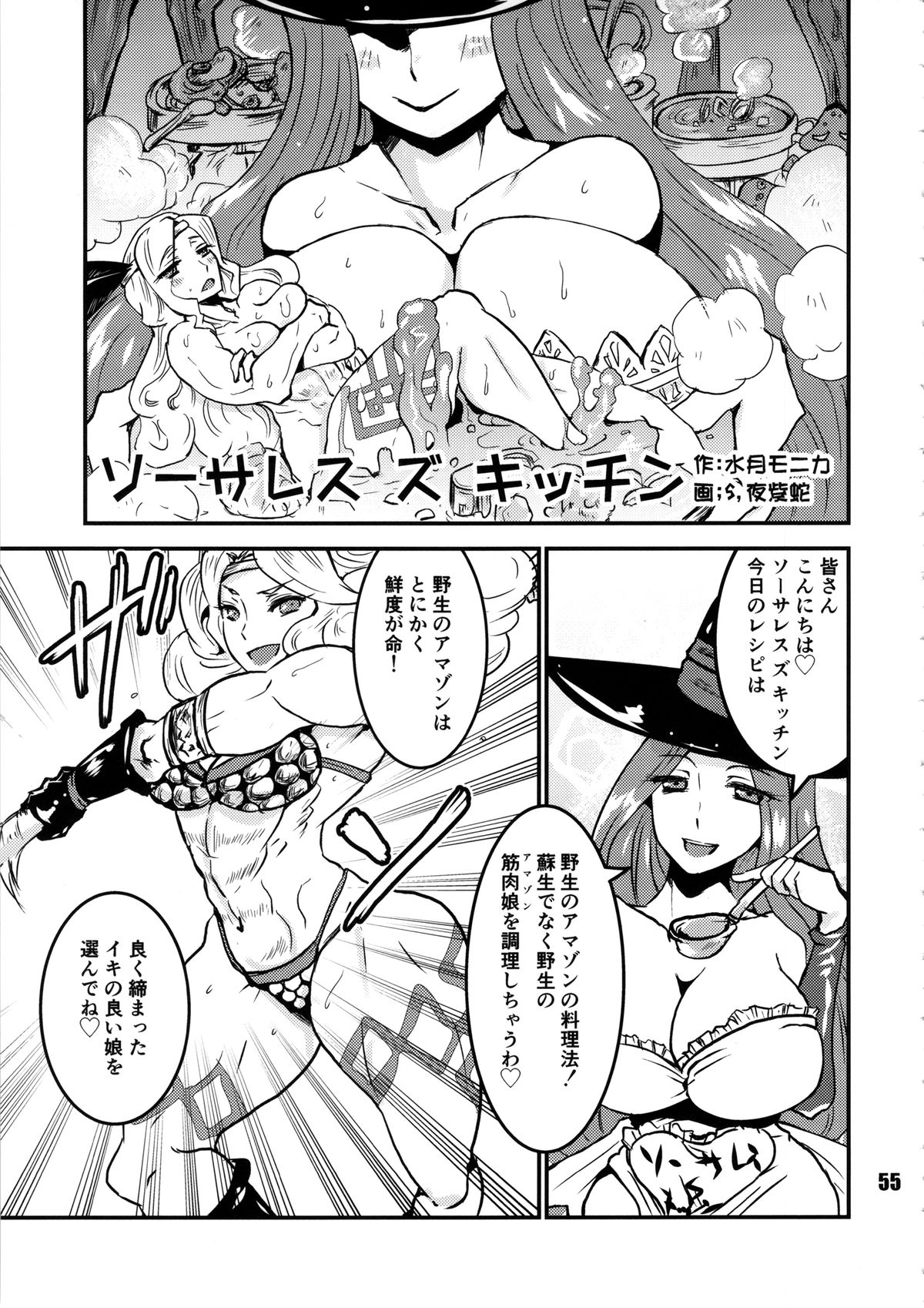 (C85) [nWa (Various)] Amazone ~The Second Impression~ (Dragon's Crown) page 54 full