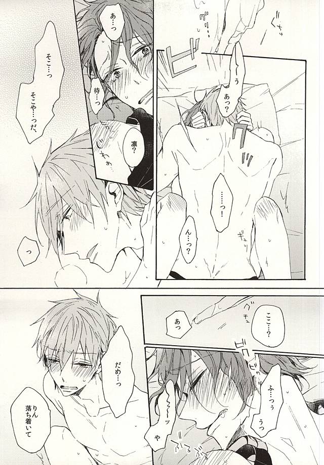 (Splash! 3) [madoromi (Narashima)] 抱いていい。 (Free!) page 56 full
