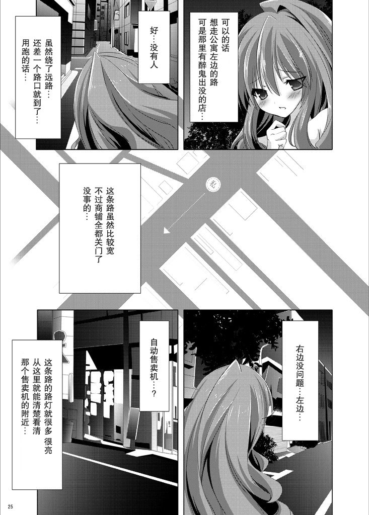 [Mint Chocolate (Himuro Kouichi, Raw)] Roshutsu Shoujo Tora (Toradora!) [Chinese] [匿名无名汉化] [Digital] page 25 full