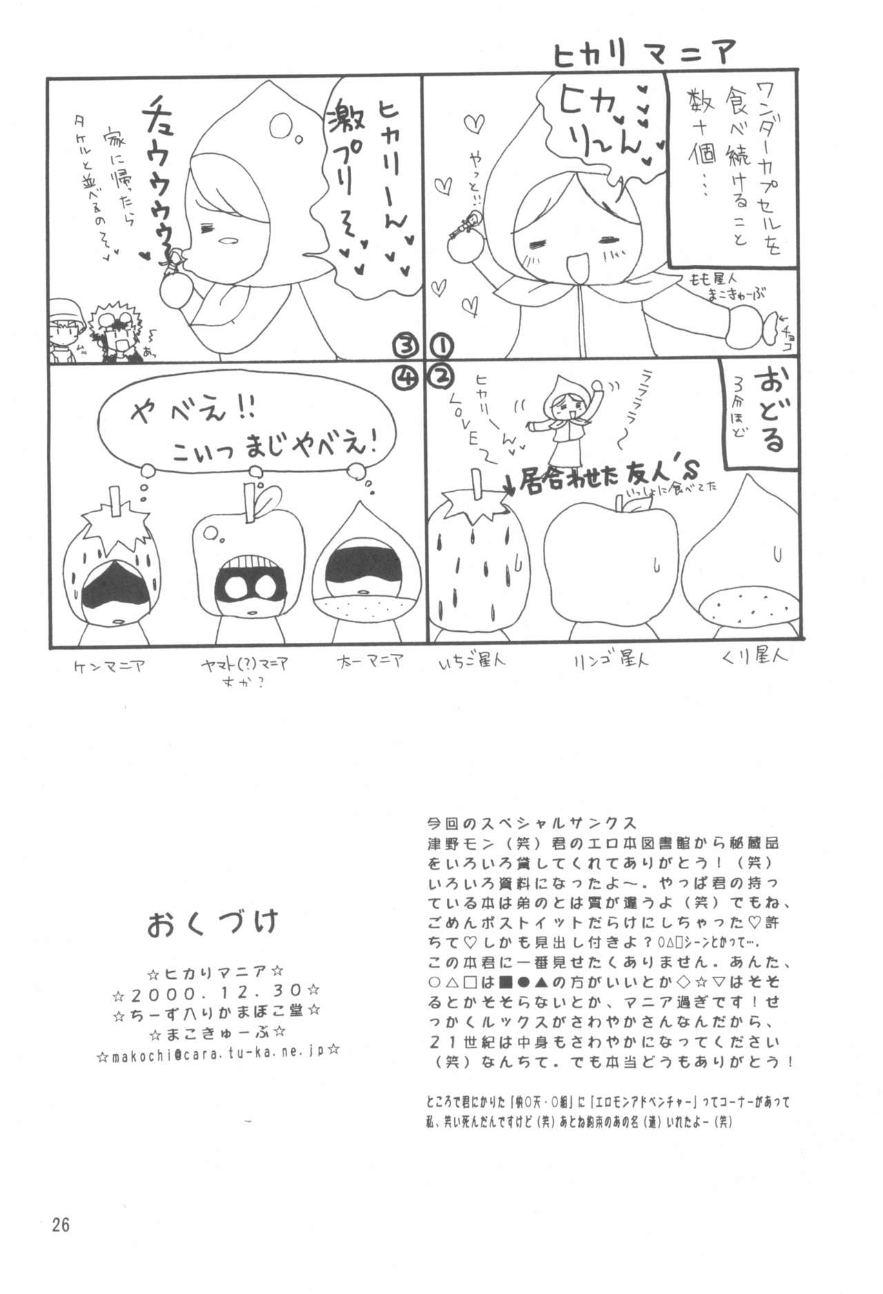 (C59) [Cheese-iri Kamaboko-dou (Mako Cube)] Hikari Mania (Digimon Adventure 02) page 28 full
