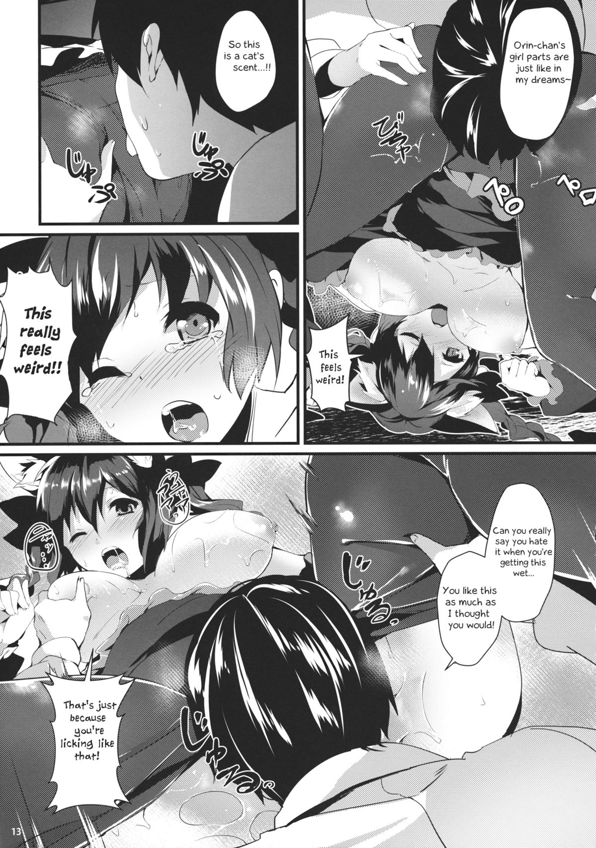 (Reitaisai 11) [Tetsu no Otoshigo (Chirorian)] Neko no Kimochi wa Futeikei (Touhou Project) [English] page 12 full