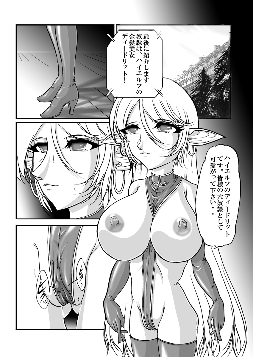[SLW (Q1)] Aidorei  Elf Senki 2 (Record of Lodoss War) [Digital] page 26 full