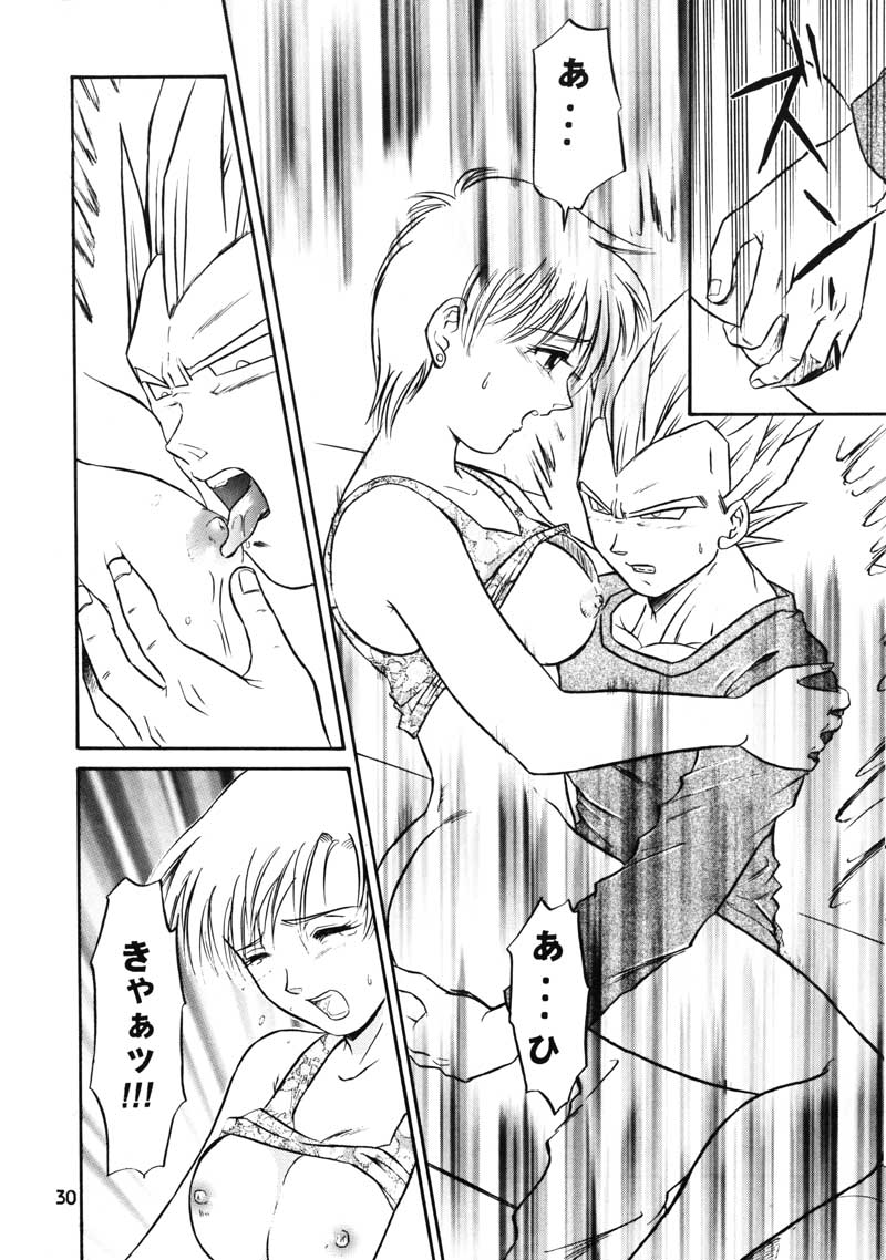 (C63) [Ryujin-kai (HITO Ribuki)] GIFT (Dragon Ball Z) page 28 full
