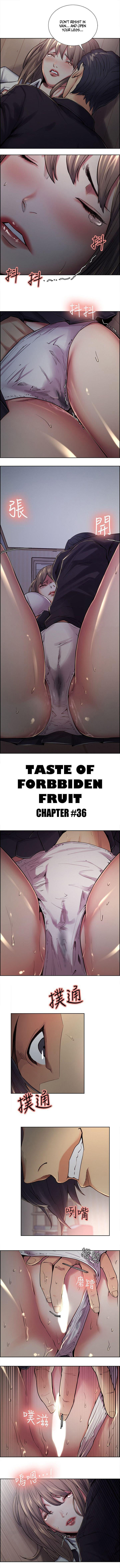 [Serious] Taste of Forbbiden Fruit Ch.36/53 [English] [Hentai Universe] page 614 full