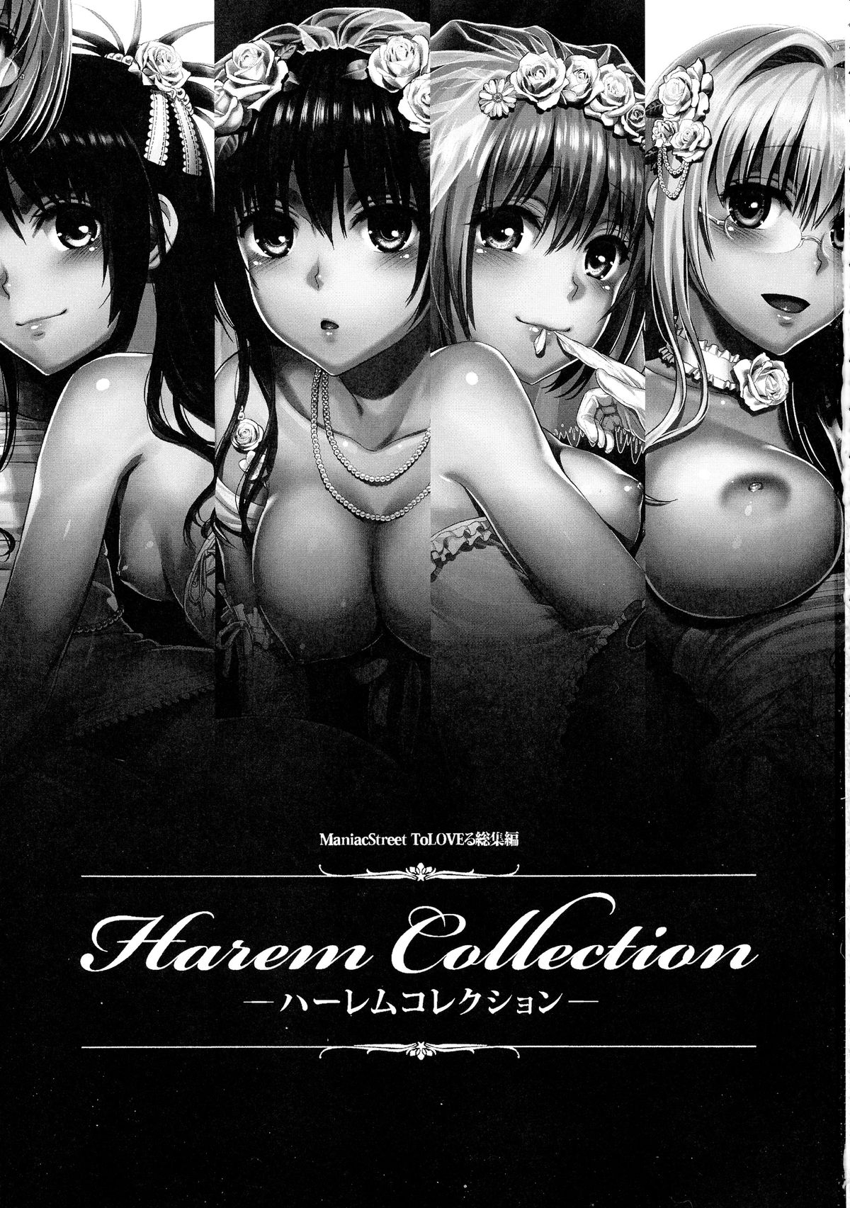 (C86) [Maniac Street (Oono, Sugaishi)] Harem Collection (To LOVE-Ru) page 3 full