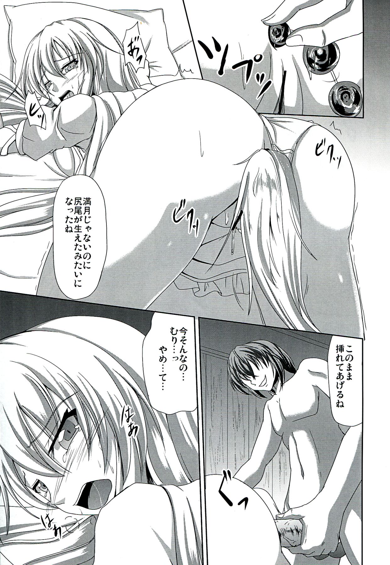 (Reitaisai 9) [Rafflesia (Campbell Gichou)] Dai Kikunattara (Touhou Project) page 17 full