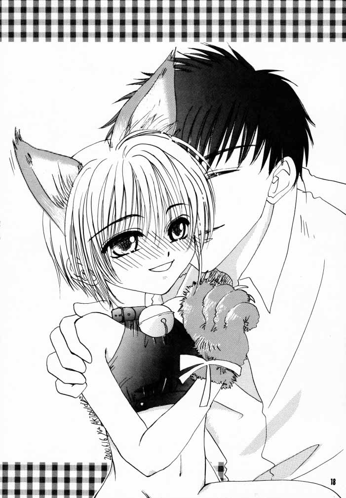 [PONCHEES (Kari) (FOX)] Zoku Sakura Shoukougun Hindo C (Cardcaptor Sakura) page 17 full