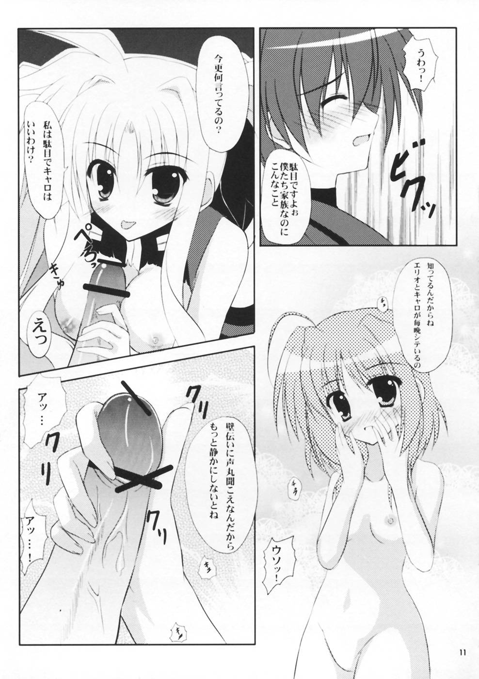 (SC40) [Upa Goya (Endori)] Secret training (Mahou Shoujo Lyrical Nanoha) page 11 full