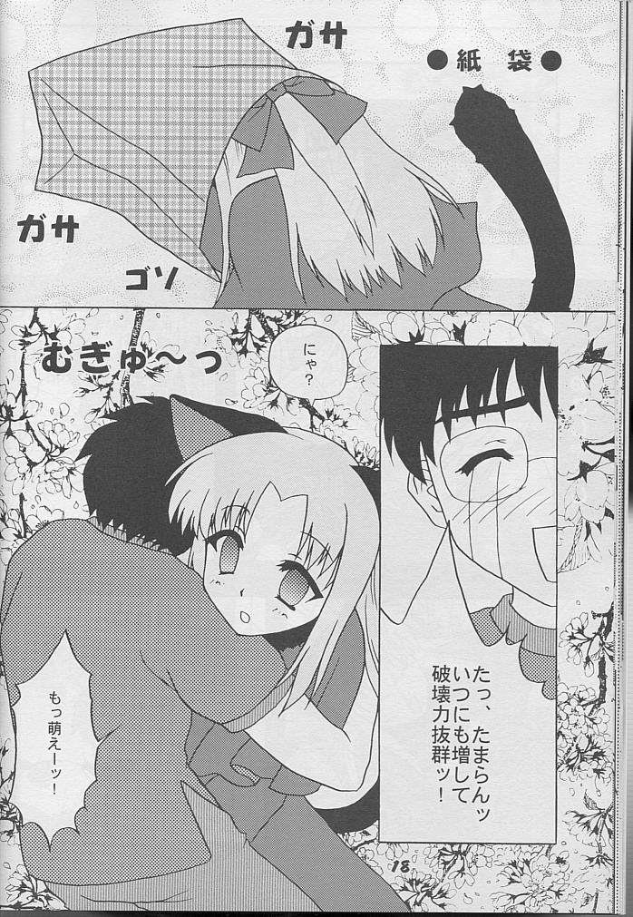 [Studio Black Cats (Tsumori (AZR) Minato)] Black Cats 14 Hanten Kuroneko Musume (Tsukihime) page 17 full