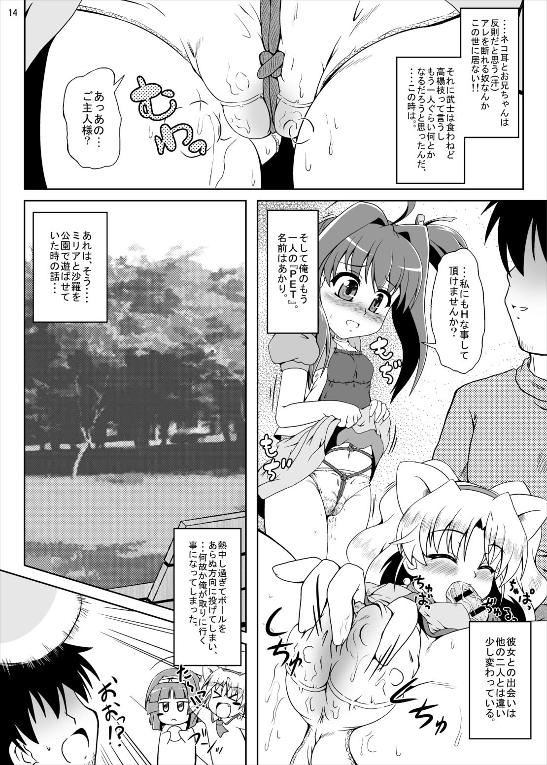 (C79) [Kamepotel (Izuki Jirou)] Freeter, Pet o kau!? (Jewelpet Twinkle) page 13 full