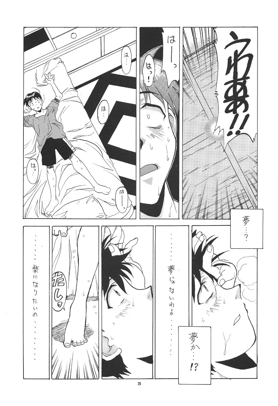(C50) [PUSSY-CAT (Various)] PUSSY-CAT Shokuzai (Neon Genesis Evangelion) page 25 full