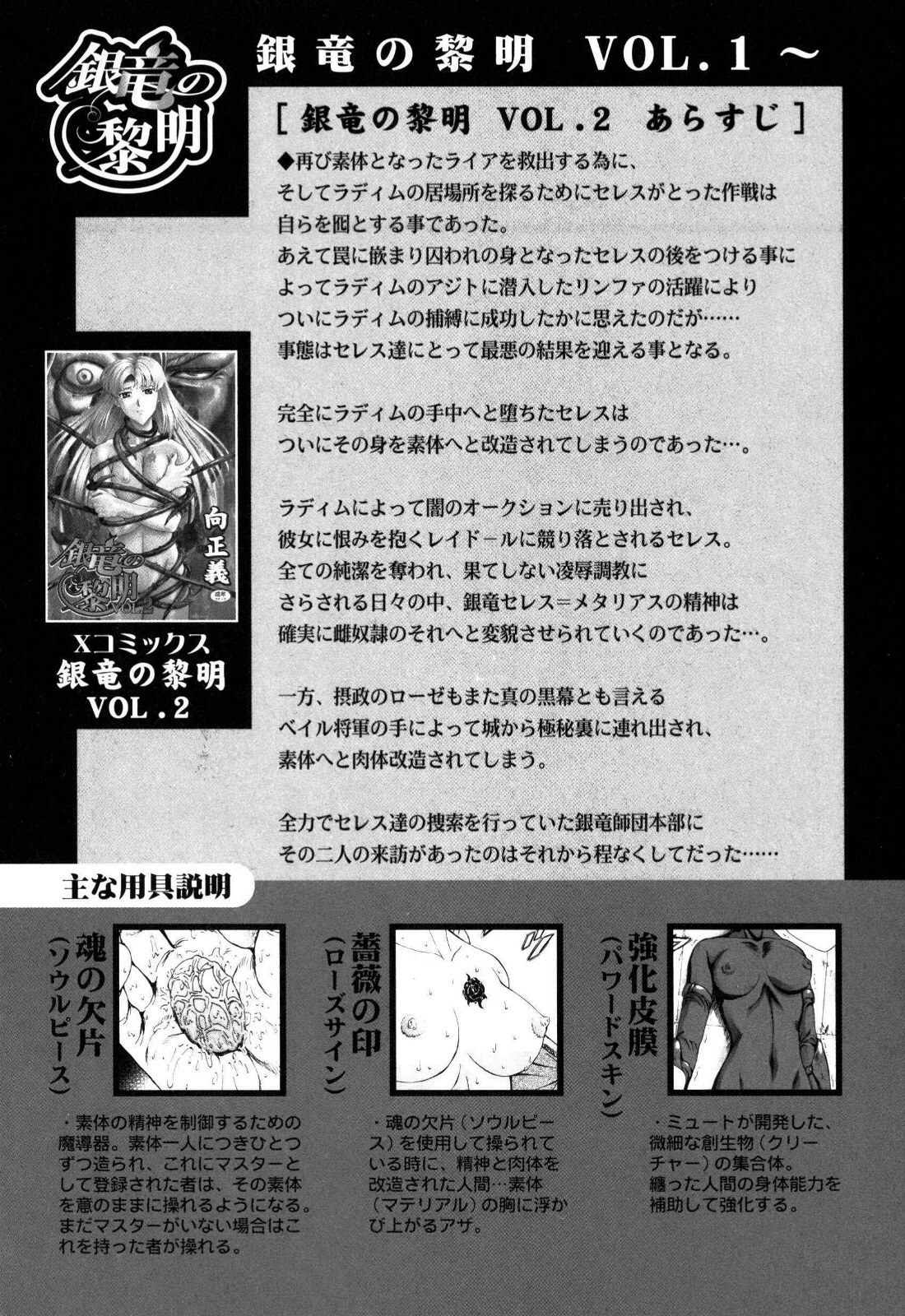 [Mukai Masayoshi] Ginryuu no Reimei | Dawn of the Silver Dragon Vol. 4 [English] [SaHa] page 10 full