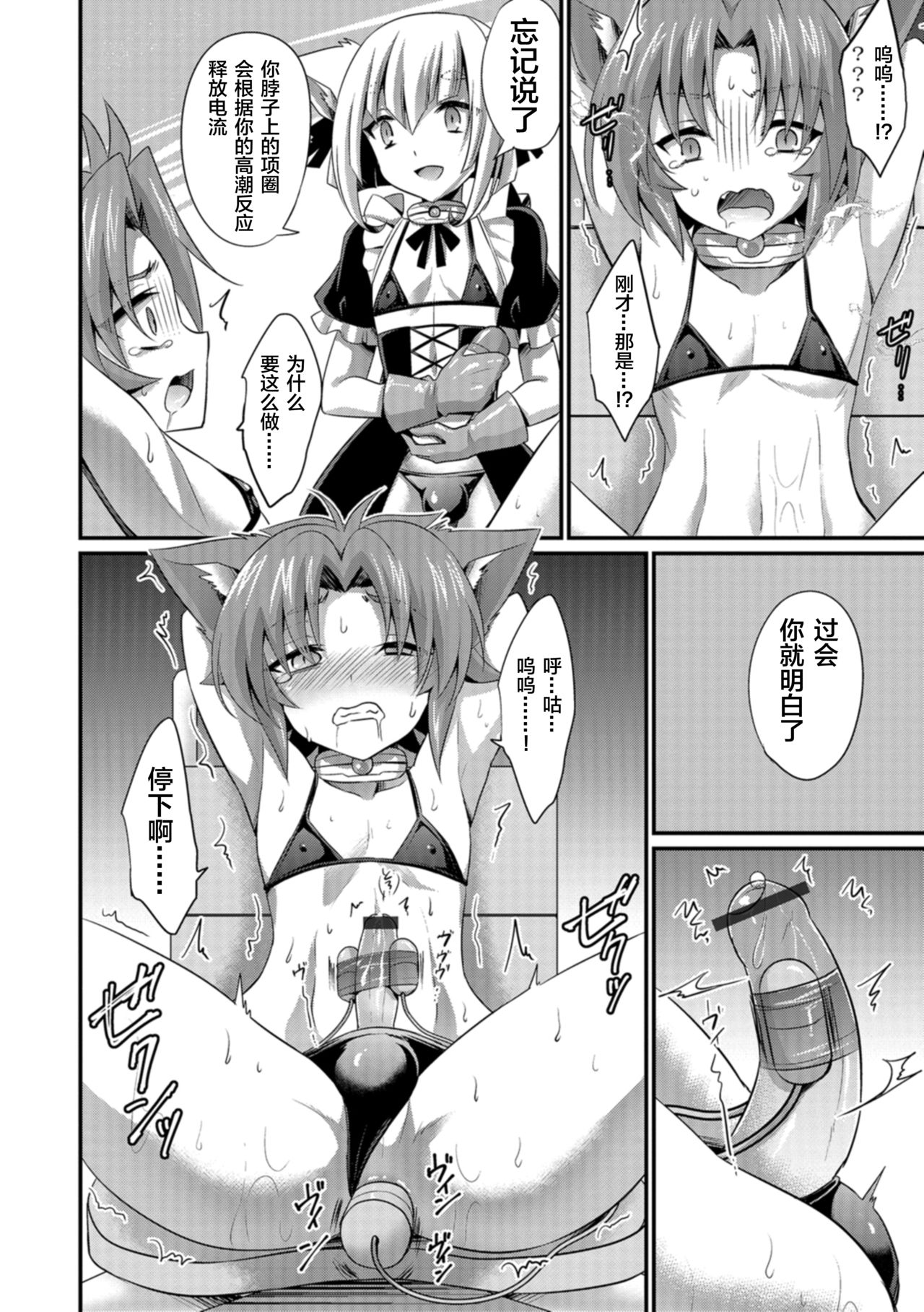 [Kaitou Yuuhi] Aigan Pet no Shitsukekata I+II+Extra [Chinese] [逃亡者x新桥月白日语社] [Digital] page 10 full