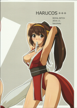 (C91) [Royal Bitch (Haruhisky)] Harucos +4 (Suzumiya Haruhi no Yuuutsu) - page 29