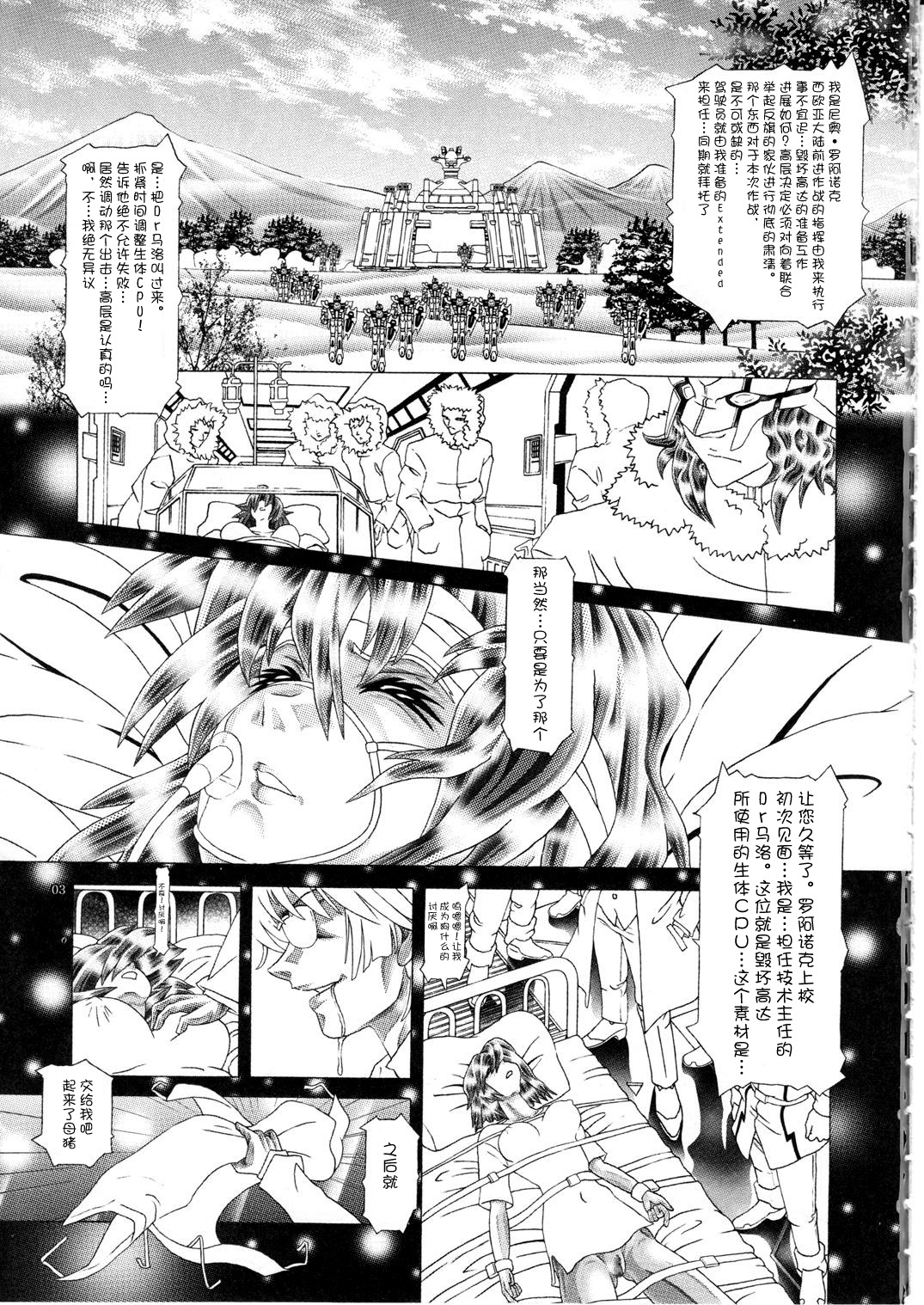 (C77) [Kaki no Boo (Kakinomoto Utamaro)] RANDOM NUDE Vol.5 92 〔STELLAR LOUSSIER〕 (Gundam Seed Destiny)【chinese】 page 4 full