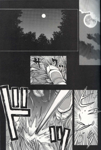 (C62) [H&K (Kotobuki Kazuki)] Kyokutou Mayonnaise (Dead or Alive) - page 4