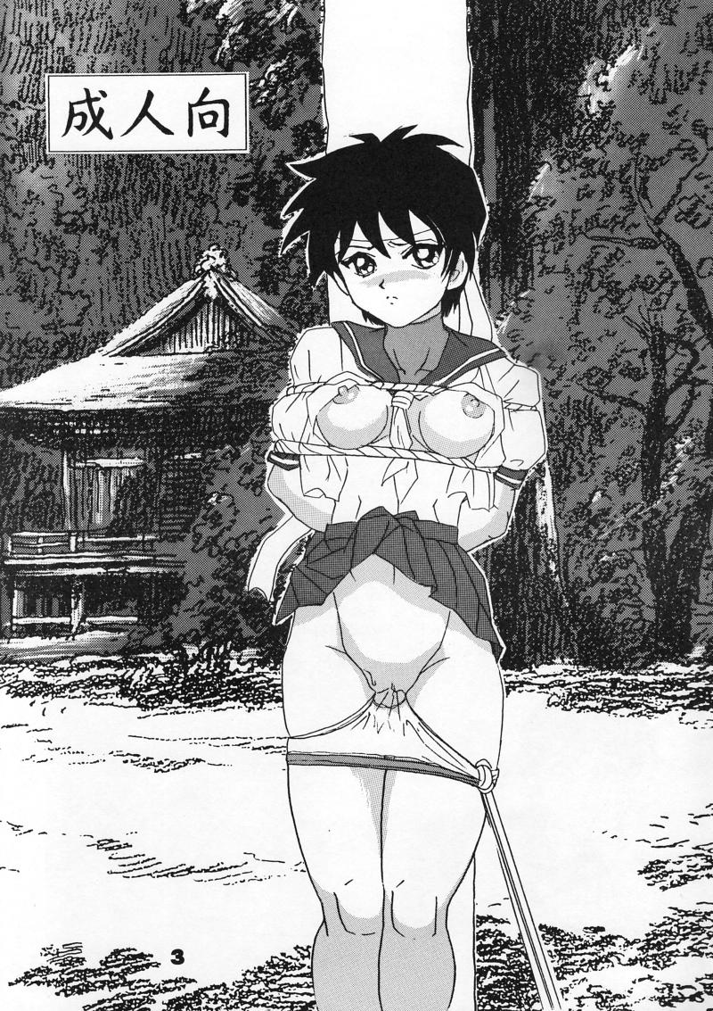 (C54) [Raijinkai (Harukigenia)] Moeyo Sakura (Street Fighter) page 3 full