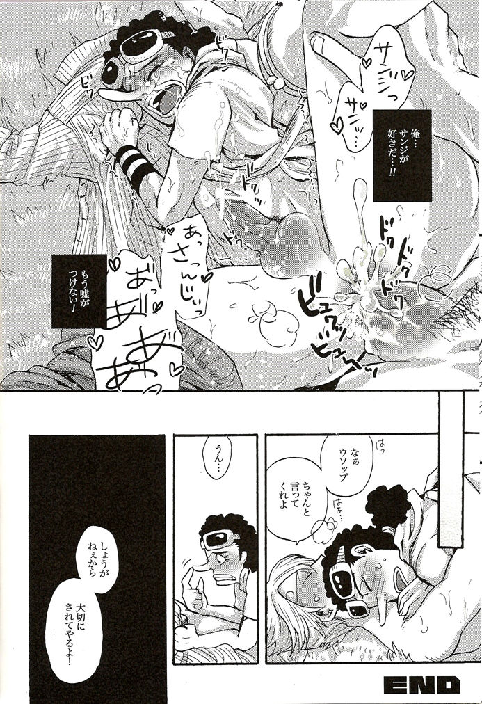 [GOMIX! (Yoisho53)] Shinjitsu Karawa Uso o. Uso Karawa Shinjitsu o. (One Piece) page 23 full