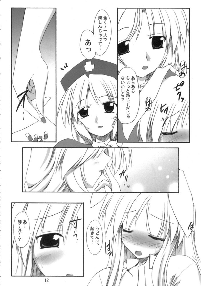 (SC33) [Yuugen Jikkou (Gonzaburo-)] Mousou Tsukinousagi (Touhou Project) page 11 full