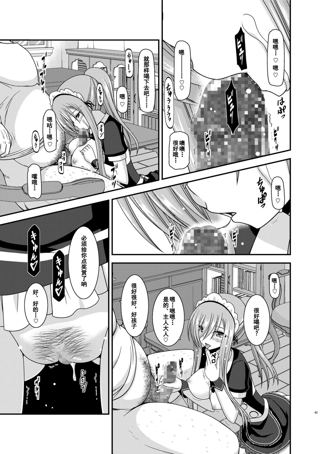 [valssu (Charu)] Melon ga Chou Shindou! R13 (Tales of the Abyss) [Chinese] [流星汉化] [Digital] page 42 full