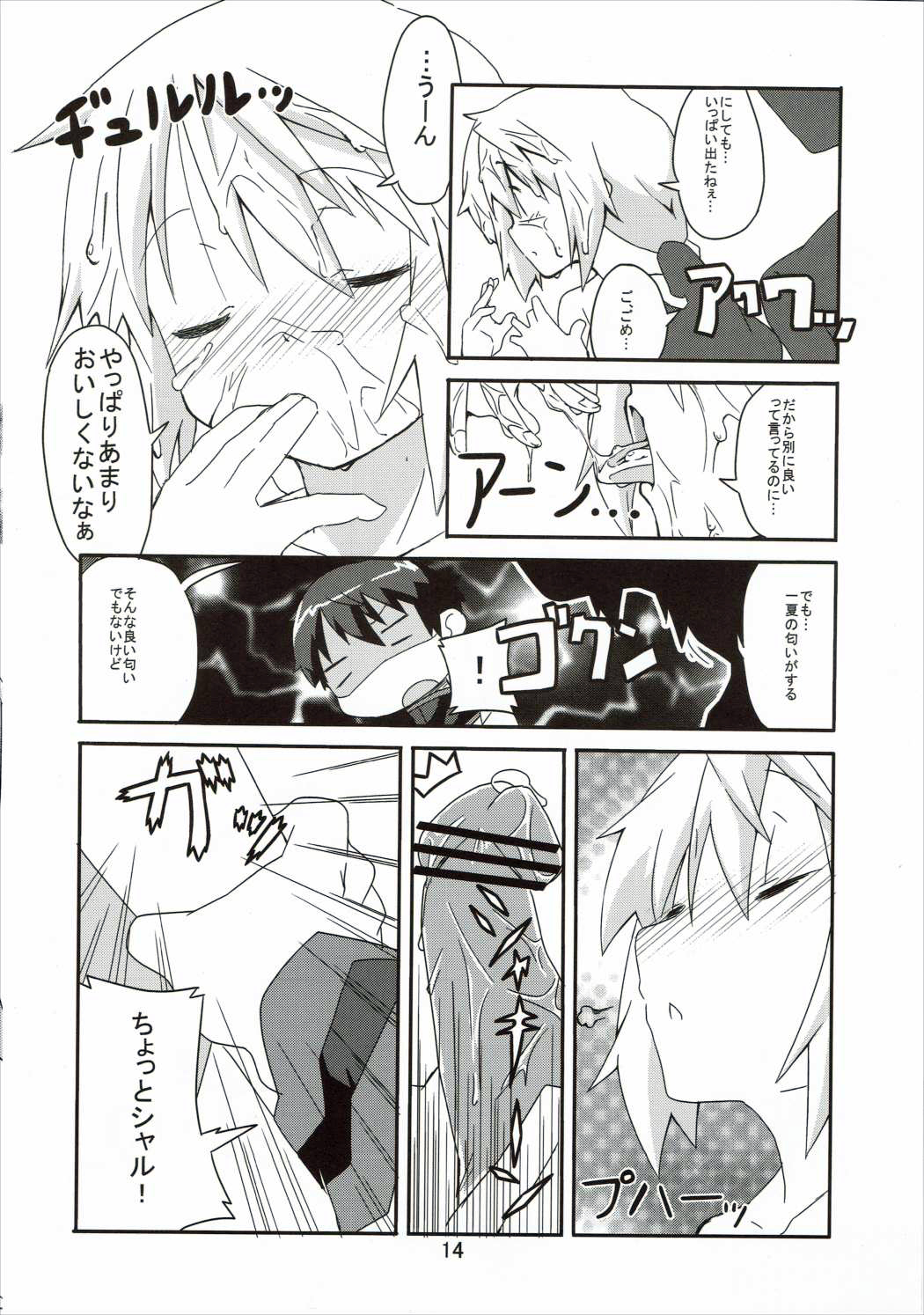 (COMIC1☆5) [Circle-FIORE (Ekakibit)] Oidemase Charlottou (IS <Infinite Stratos>) page 13 full