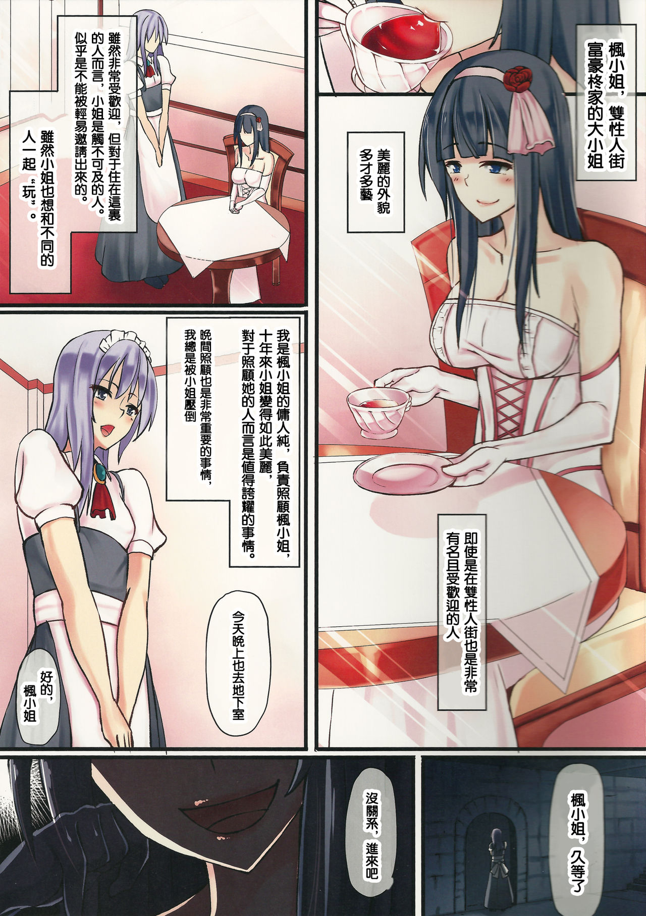 (Futaket 11) [Tapioca Box (Nyuuhin)] Ojou-sama to Shiyounin [Chinese] [沒有漢化] page 3 full