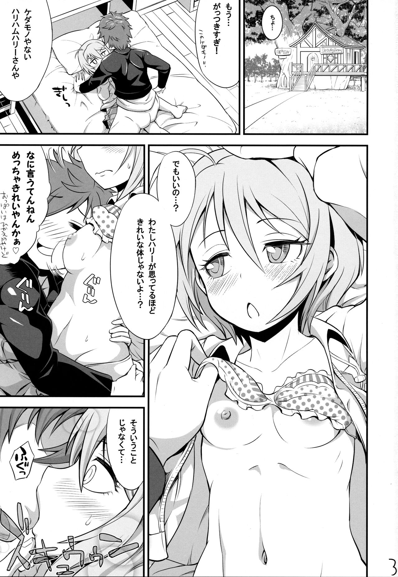 (C94) [So-matou (So-ma)] HariHomaRu (Hugtto! PreCure) page 2 full