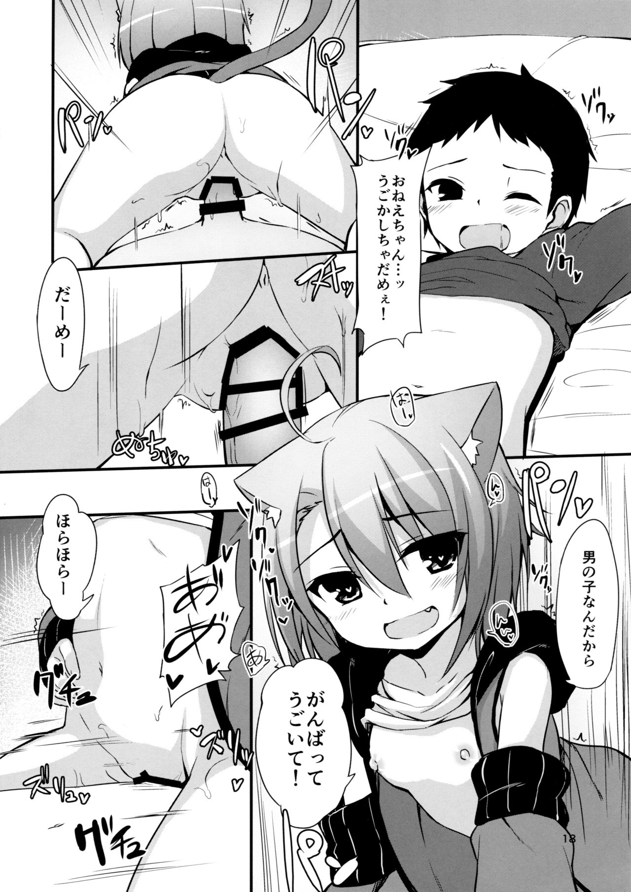 (C91) [Mayorice Suishou Iinkai (Dodomeiro Mayonnaise)] Koneko no Osewagoto page 17 full