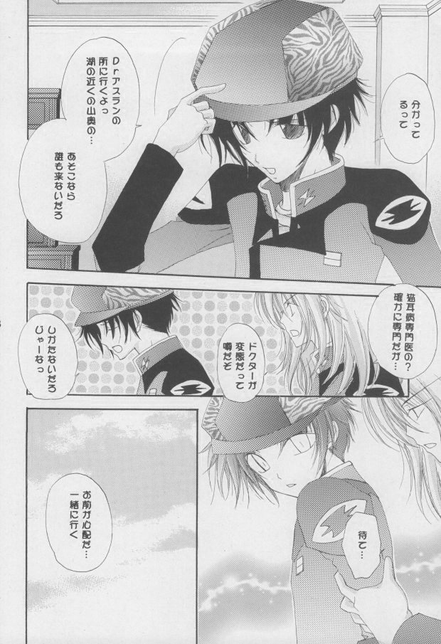 (C68) [Mutsuharu (Kagami Haruki)] Nekomimi Zouryouchuu (Gundam SEED DESTINY) [Incomplete] page 5 full