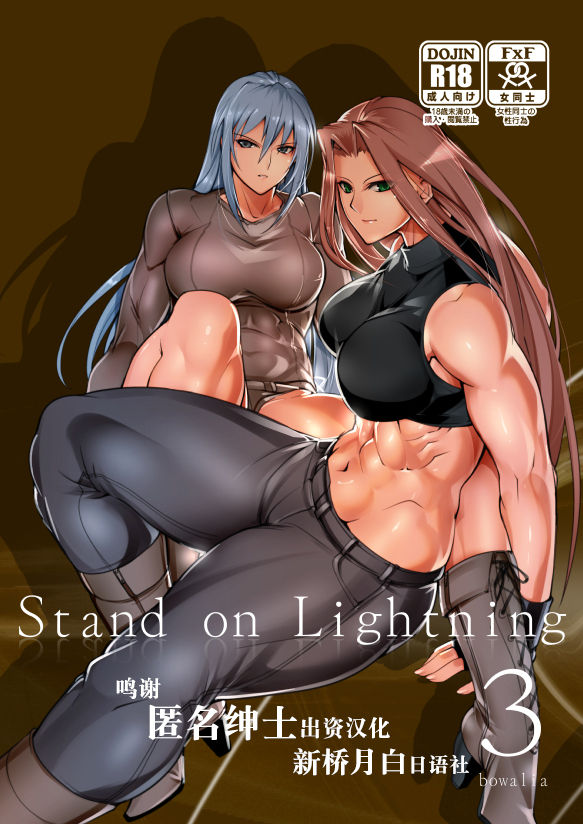 [TLG (bowalia)] Stand on Lightning 3 [Chinese] [新桥月白日语社] page 1 full