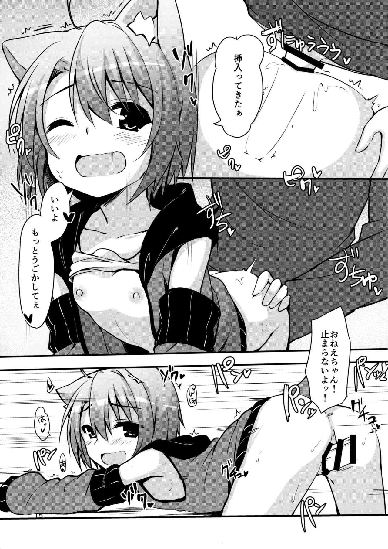 (C91) [Mayorice Suishou Iinkai (Dodomeiro Mayonnaise)] Koneko no Osewagoto page 14 full