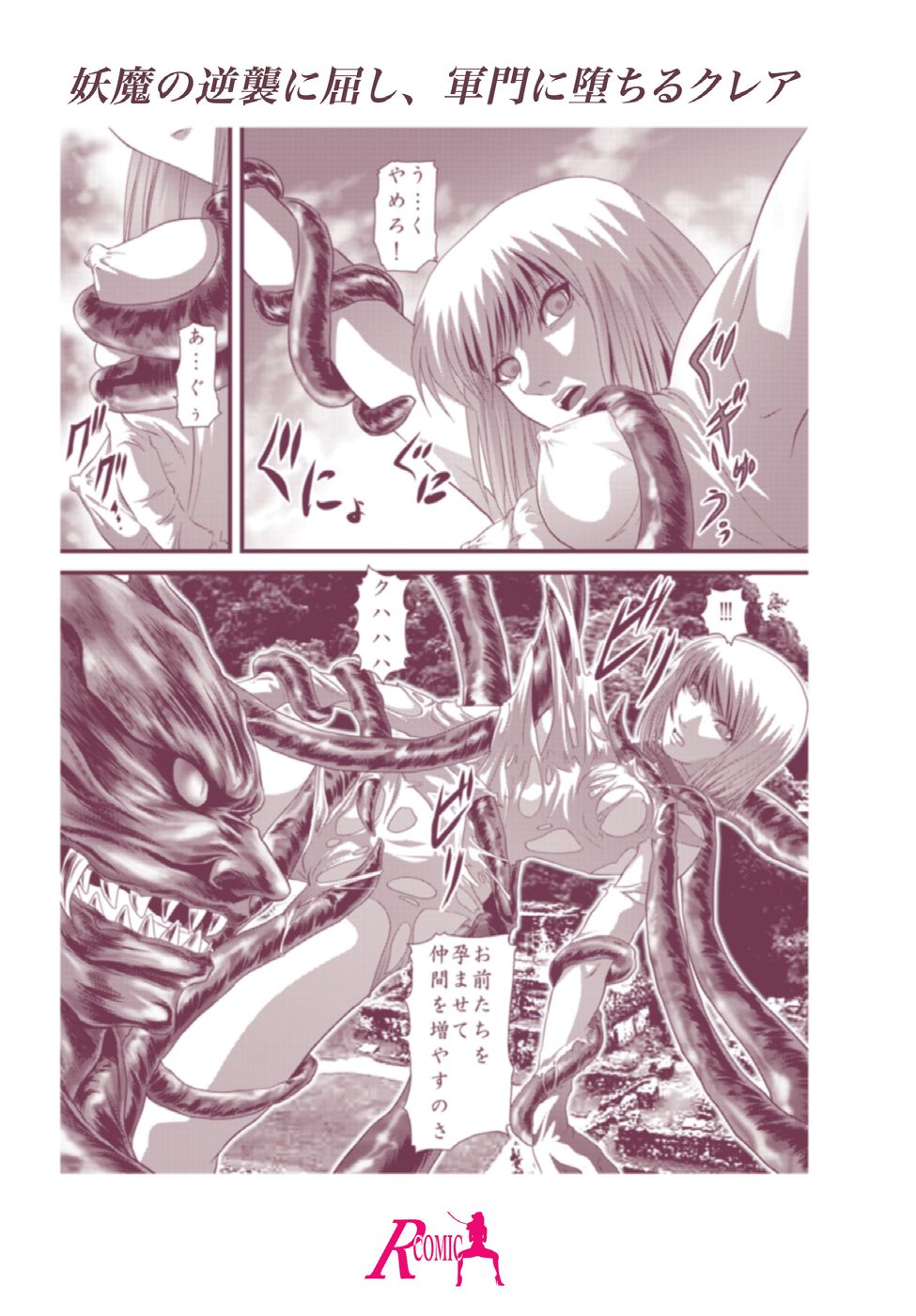 [Akiyama Kougyou (Gingitsune)] Youmainmetsu -Kita no Inranhen- / Claymore Nasty Beast lover (CLAYMORE) page 25 full