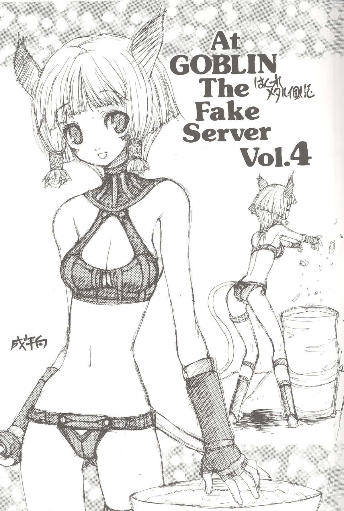 [ZINZIN] At Goblin The Fake Server Vol.4 (Final Fantasy XI) page 2 full